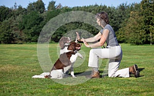 Dogs giving high five to woman