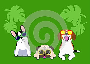 Dogs with glasses background