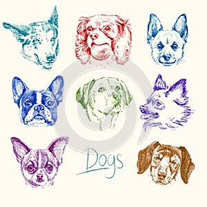 Dogs - hand drawn set