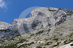 Dogs Head Mountain. Austria, Tirol, Hinterhornalm