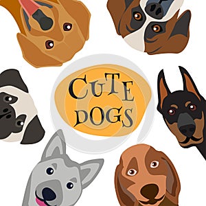 Dogs heads circle. Friendship concept card with dog set vector illustration