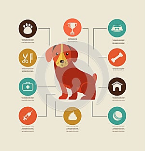 Dogs infographic and icon set