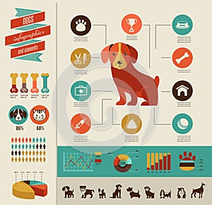 Dogs infographic and icon set