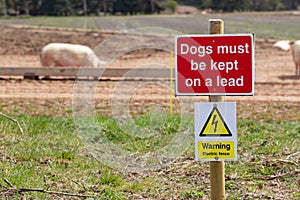 `Dogs must be kept on a lead` sign in front of outdoor reared Suffolk pigs. There is also a warning sign for an electric fence