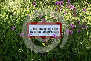 Dogs must be kept on leads at all times signage in a country park