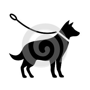 Dogs must be on a leash vector pictogram photo