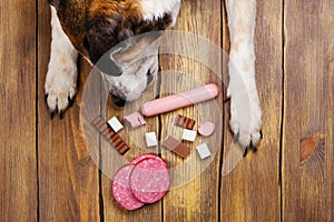Dogs paws and neb and heap of forbidden dogs meal on wooden background photo