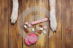 Dogs paws and neb and heap of forbidden dogs meal on wooden background photo