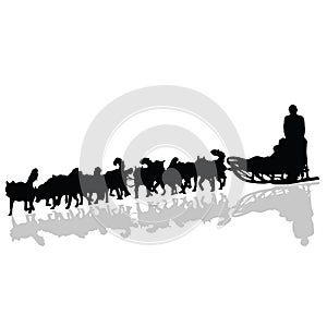 Dogs pulling a sled in black vector silhouette