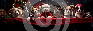 Dogs in Santa suits: Santa& x27;s loyal helpers. Generative AI