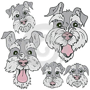 Dogs of Scottish Terrier  breed faces with different emotions