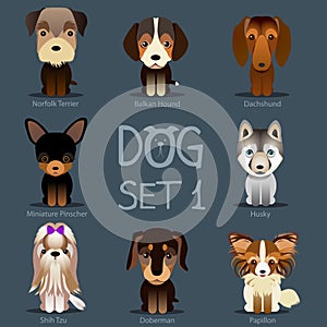 Dogs Set 1. Vector breed of dogs