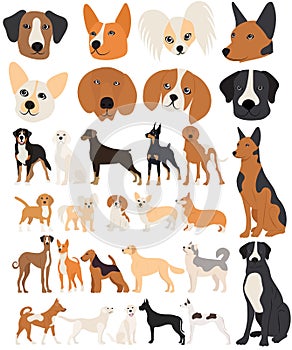 dogs set in flat design isolated