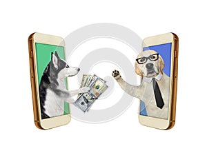 Dogs transfer money with smartphones 2