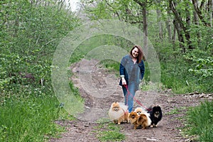 Dogs for a walk in the spring forest joyfully walk in warm weather