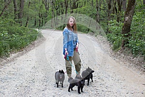 Dogs for a walk in the spring forest joyfully walk in warm weather