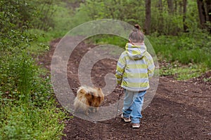 Dogs for a walk in the spring forest joyfully walk in warm weather