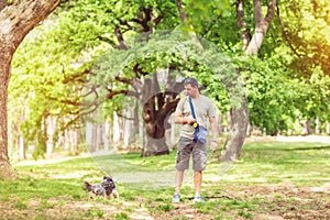 Dogs walking outdoors and enjoying with dog walker