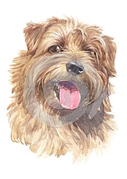 Dogs water colour 005