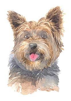 Dogs water colour 008