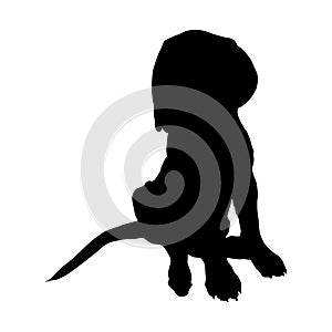 Dogue De Bordeaux Silhouette Vector Found In Map Of Europe