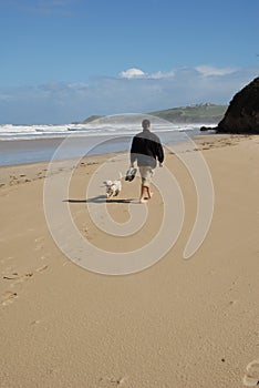 Dogwalk at the beach