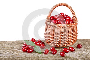 Dogwood berry with leaf in wicker basket on wooden table with white background