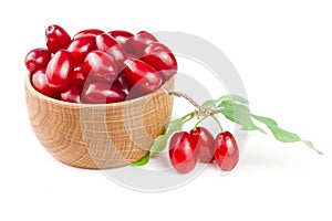 Dogwood berry with leaf in a wooden bowl isolated on white background