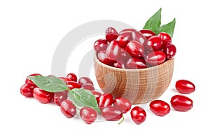 Dogwood berry with leaf in a wooden bowl isolated on white background