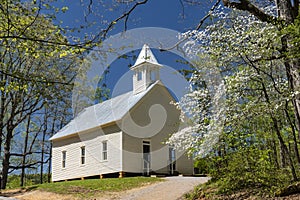 Dogwood blooms surround a little white church in Cades Cove.