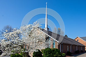 A Dogwood Tree in Bloom in Front of a Church