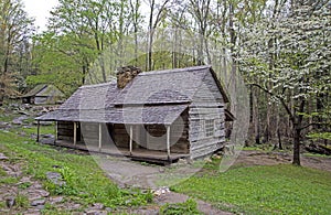 Dogwoods are blooming around the Bud Ogle Place in the Smokies.