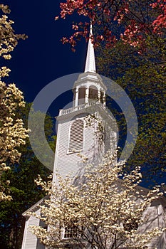 Dogwoods surround Greenfield Congretional Church.