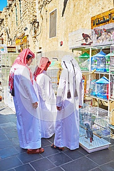 Qatari teens choose the pet birds, Souq Waqif, Doha, Qatar