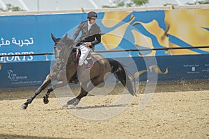 Action from the CHI Al Shaqab 2013