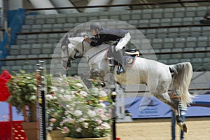 Action from the CHI Al Shaqab 2013