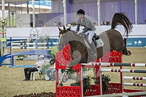 Action from the CHI Al Shaqab 2013