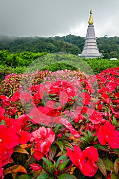 Doi Intanon National Park (Thailand)