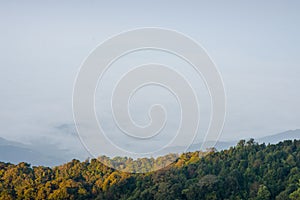 Doi Inthanon and morning mist, mountain in Thailand