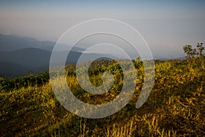 Doi Inthanon and morning mist, mountain in Thailand