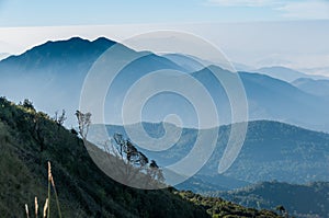 Doi Inthanon national park, ChiangMai, Thailand.