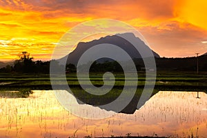 Doi Luang Chiang Dao beautiful mountain,Second highest in thai,in chiang mai Thailand,