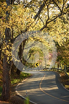 Doi Pha Hom Pok National Park and The Garden at Angkhang mountain, chiangmai Thailand