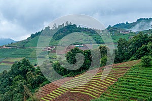 Doi Pui Hmong Village Chiangmai nestled deep in the mountains of Chiang Mai Thailand