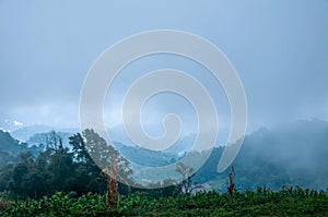 Doi Pui Hmong Village Chiangmai nestled deep in the mountains of Chiang Mai Thailand