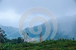 Doi Pui Hmong Village Chiangmai nestled deep in the mountains of Chiang Mai Thailand