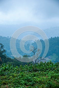 Doi Pui Hmong Village Chiangmai nestled deep in the mountains of Chiang Mai Thailand