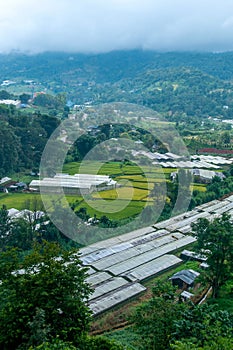 Doi Pui Hmong Village Chiangmai nestled deep in the mountains of Chiang Mai Thailand