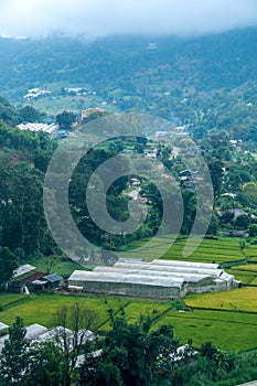 Doi Pui Hmong Village Chiangmai nestled deep in the mountains of Chiang Mai Thailand