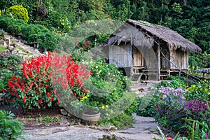 Doi Pui Mong Hill Tribe Village, Chiang Mai, Northern Thailand